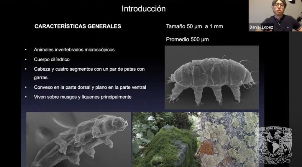 Imagenes 10 6