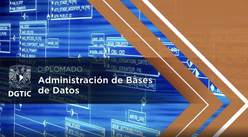 Imagenes 10 basesdedatos