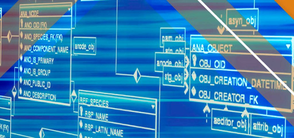 Finaliza la emisión 27 del Diplomado de Administración de Bases de Datos